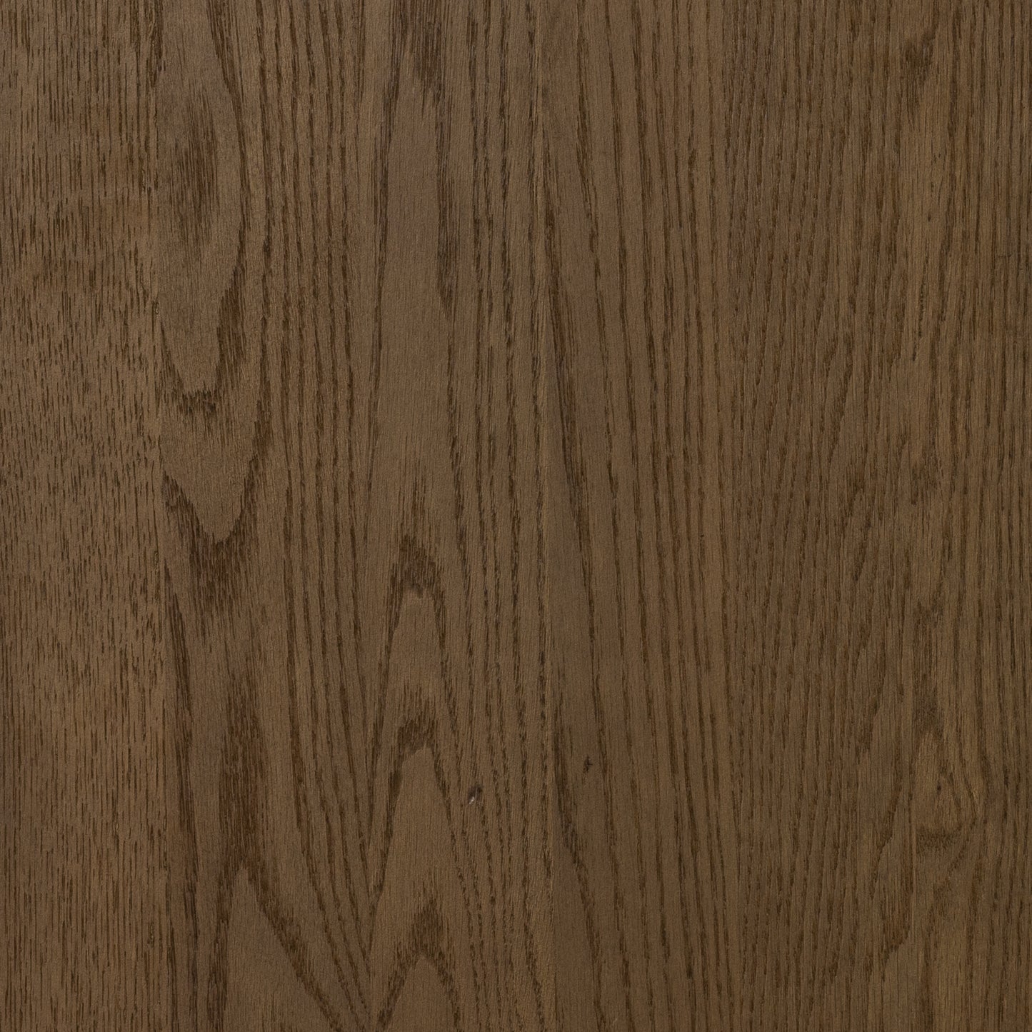 Tolle Panel Door Cabinet-Drifted Oak Sld
