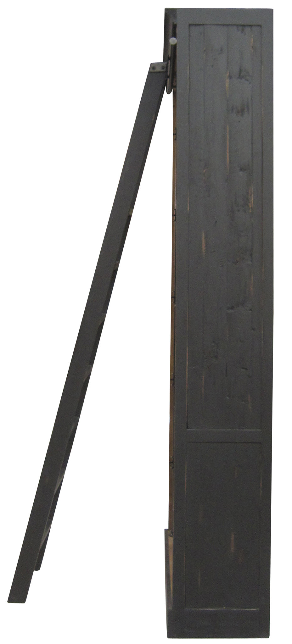 Ivy Bookcase And Ladder
