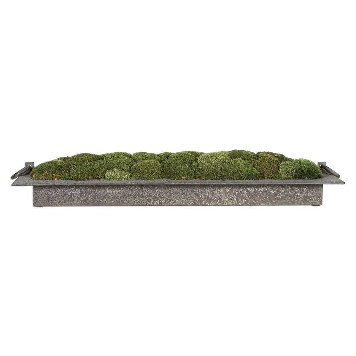 Heath Preserved Moss Tray