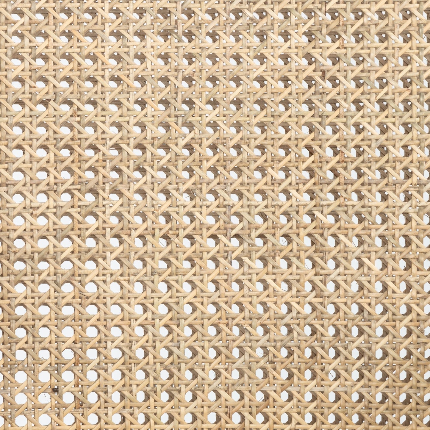 Antonia Stool - Counter - Astonishing Home Collection