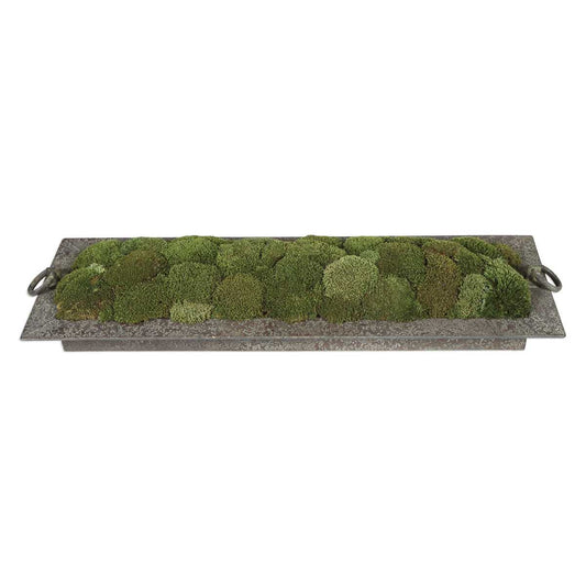 Heath Preserved Moss Tray