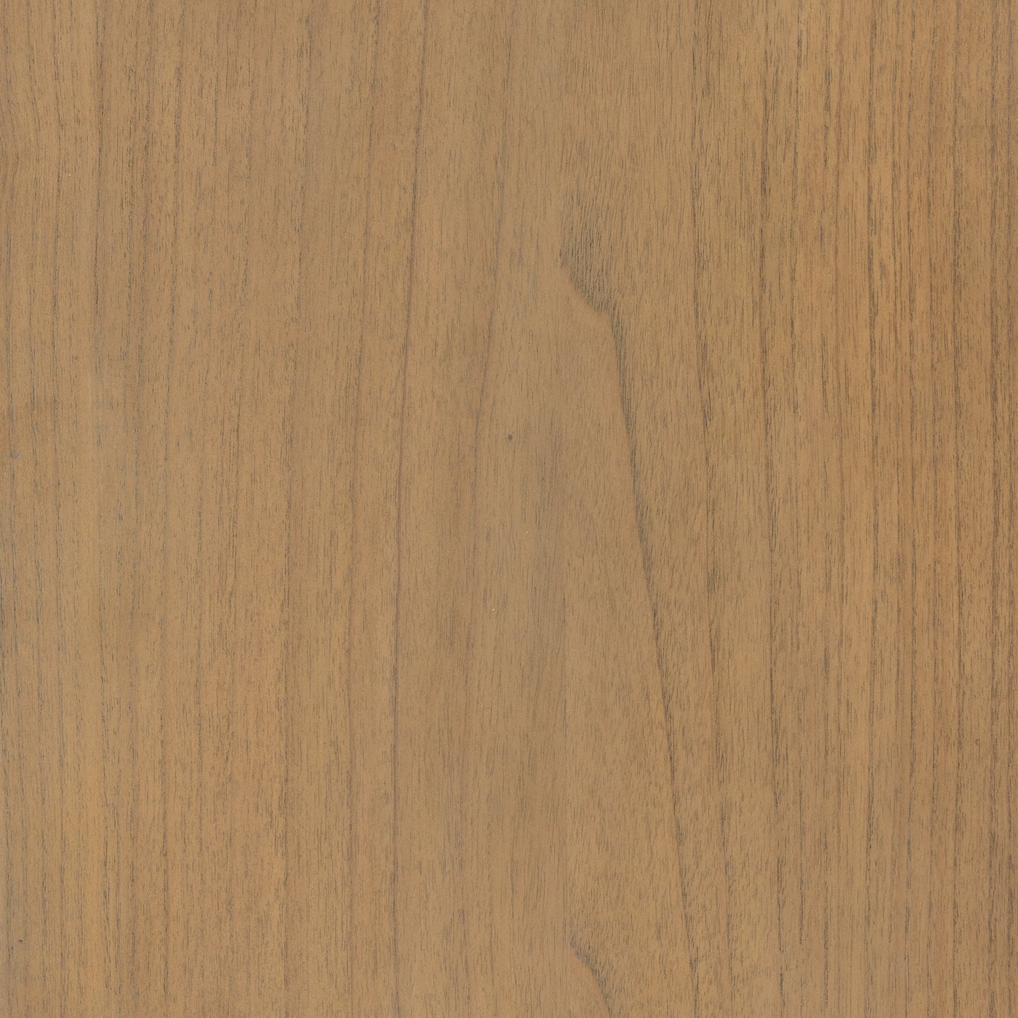 Ilana Cabinet