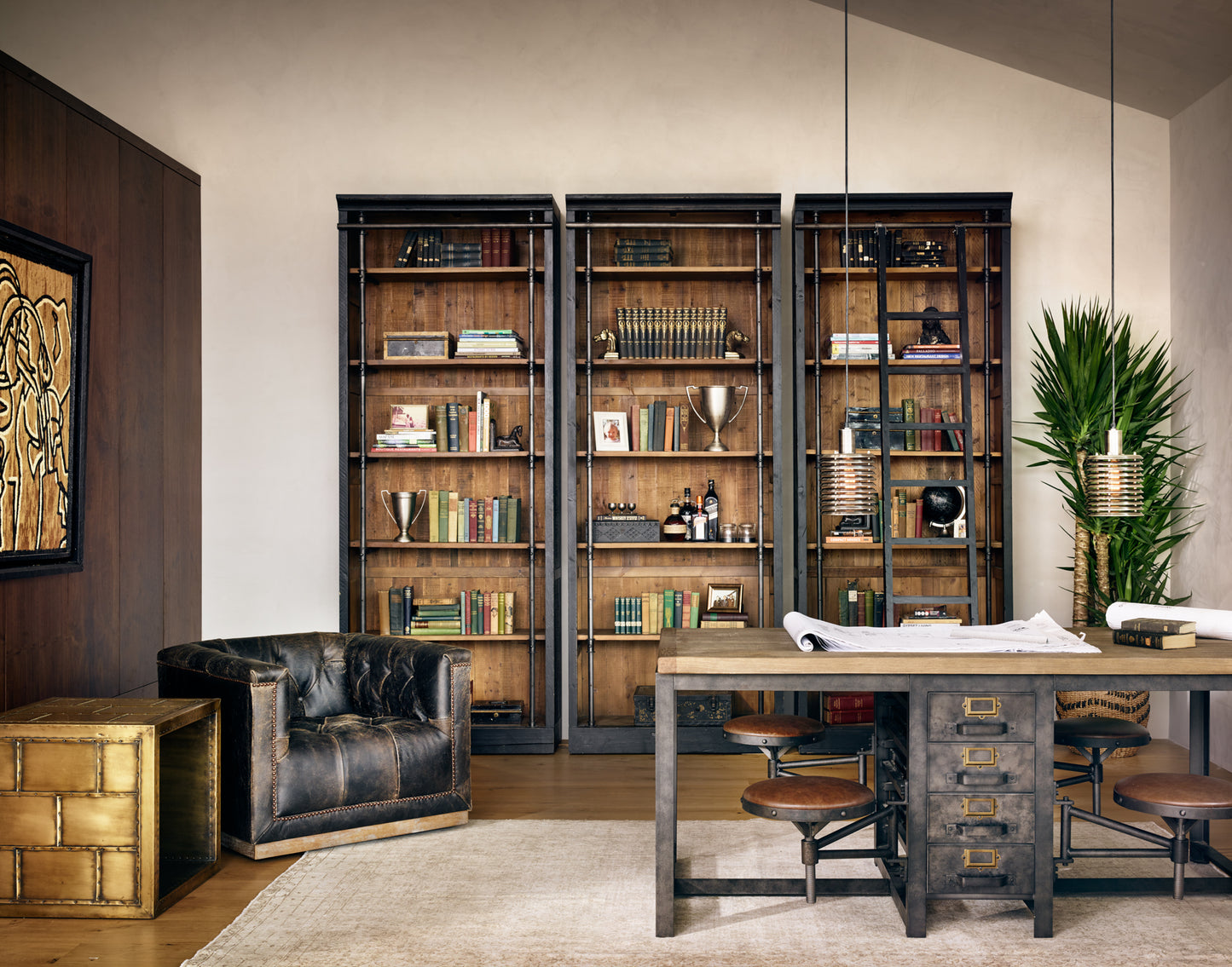 Ivy Bookcase And Ladder