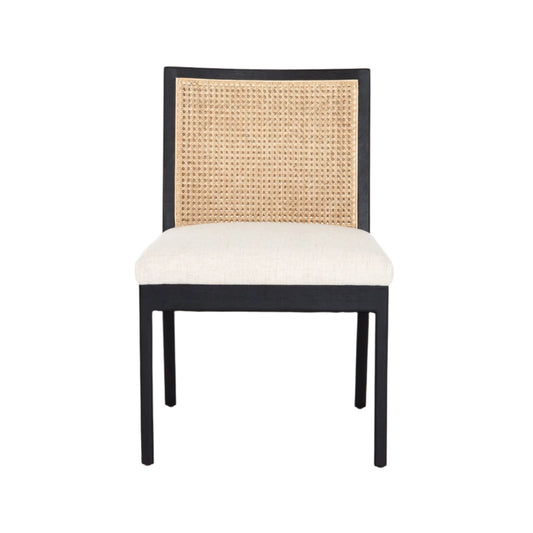 Antonia Armless Dining Chair - Astonishing Home Collection