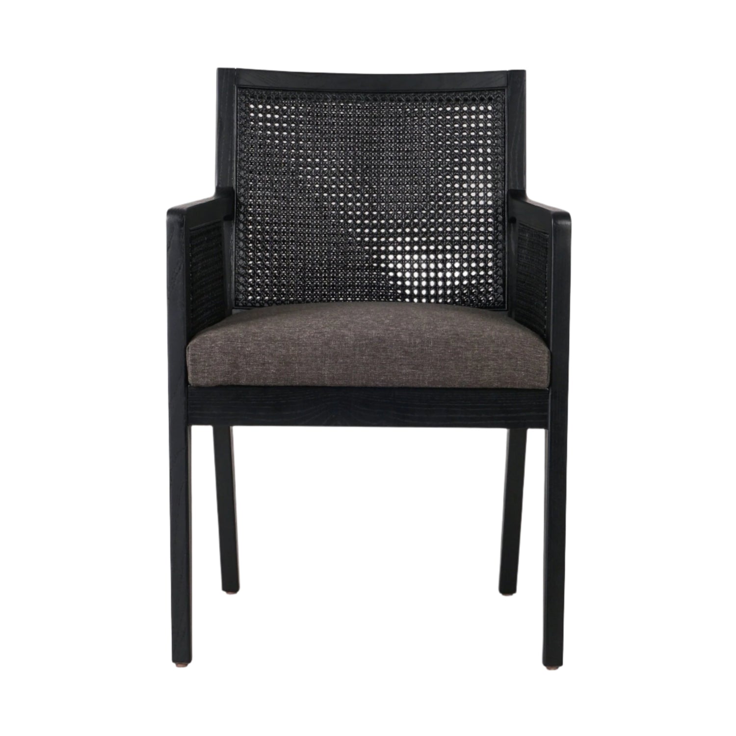 Antonia Dining Arm Chair - Astonishing Home Collection