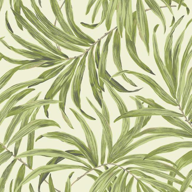 Bali Leaves Wallpaper - Astonishing Home Collection