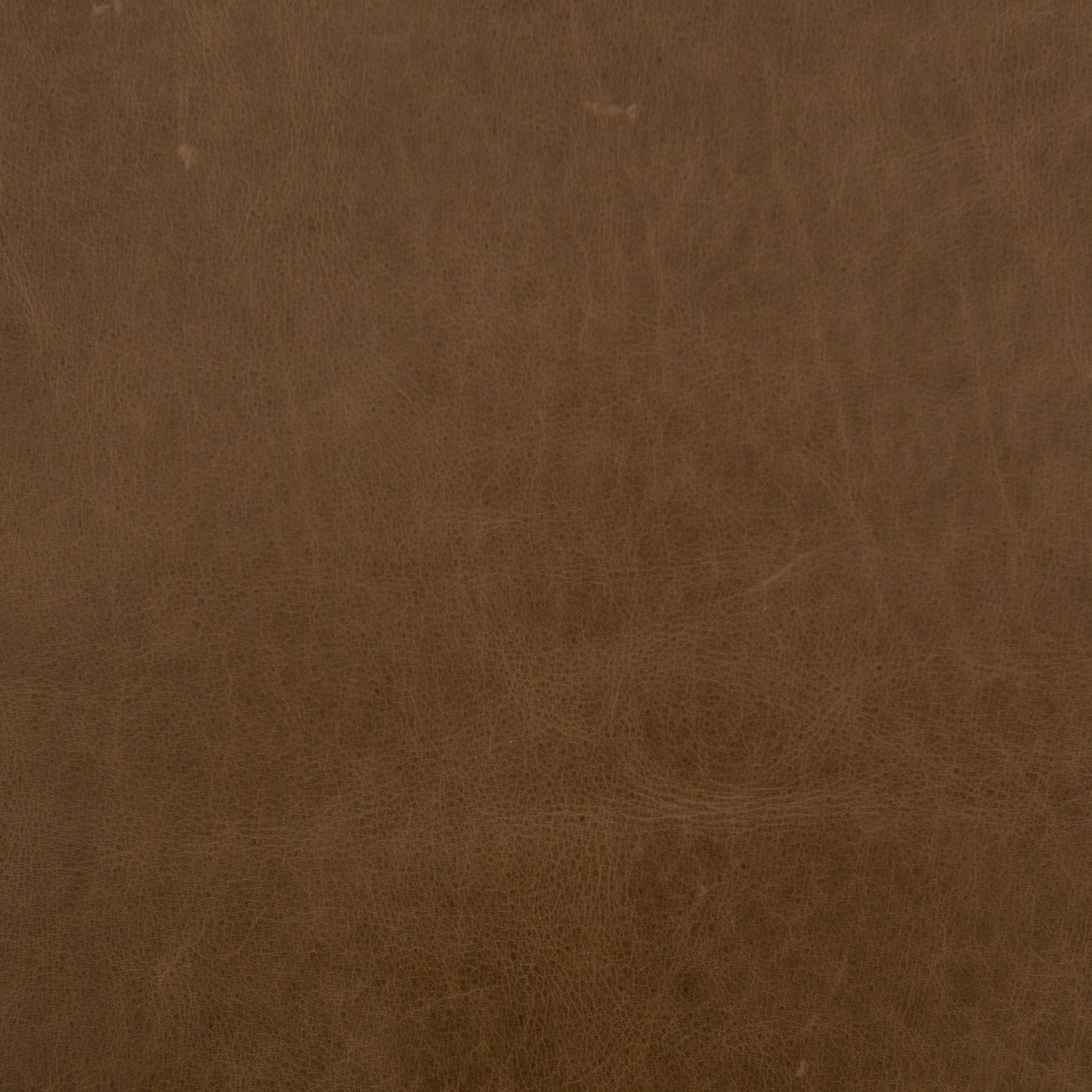 Beaumont Bench - Astonishing Home Collection