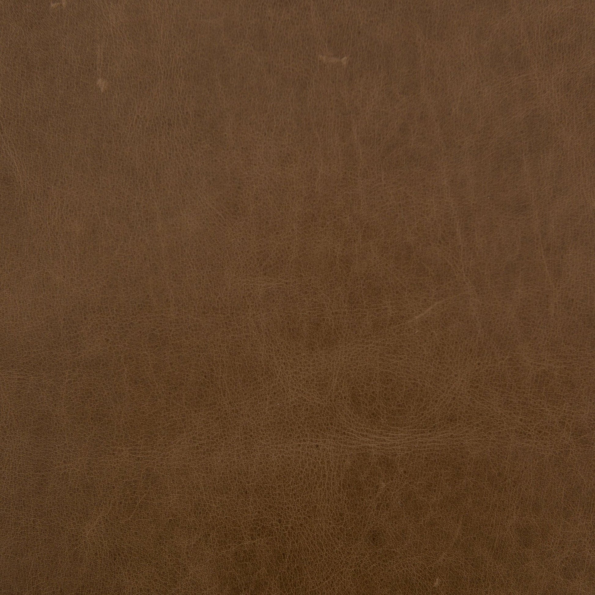 Beaumont Bench - Astonishing Home Collection