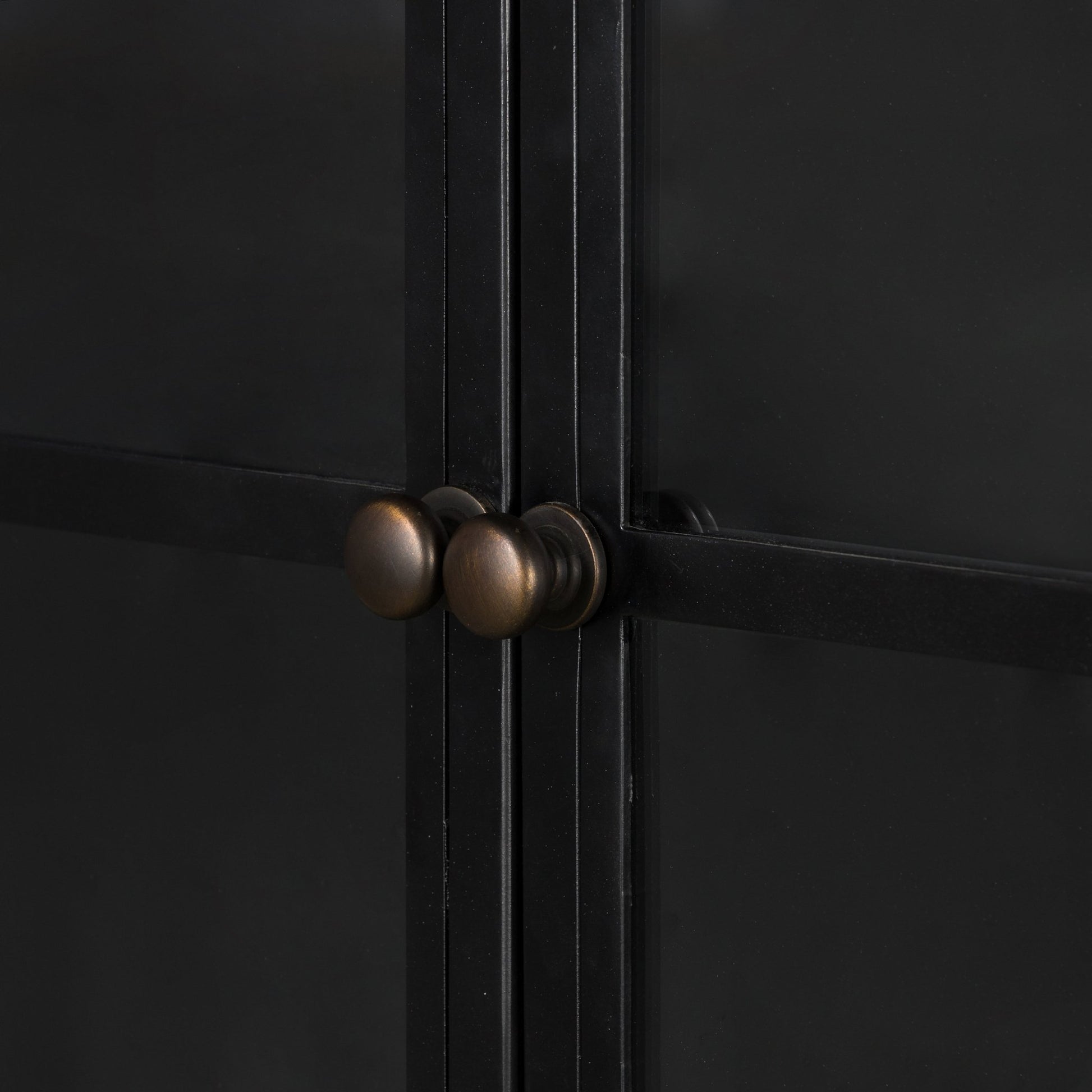 Belmont Wide Metal Cabinet - Astonishing Home Collection